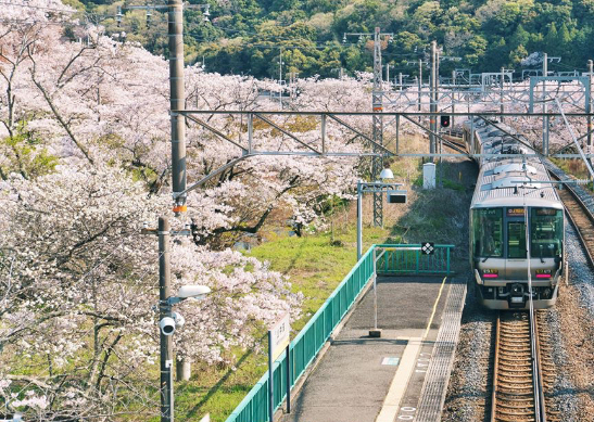 電車の使い方