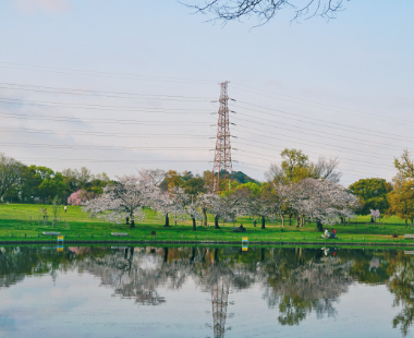 大仙公園