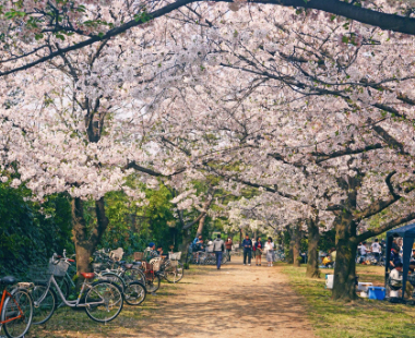 浜寺公園